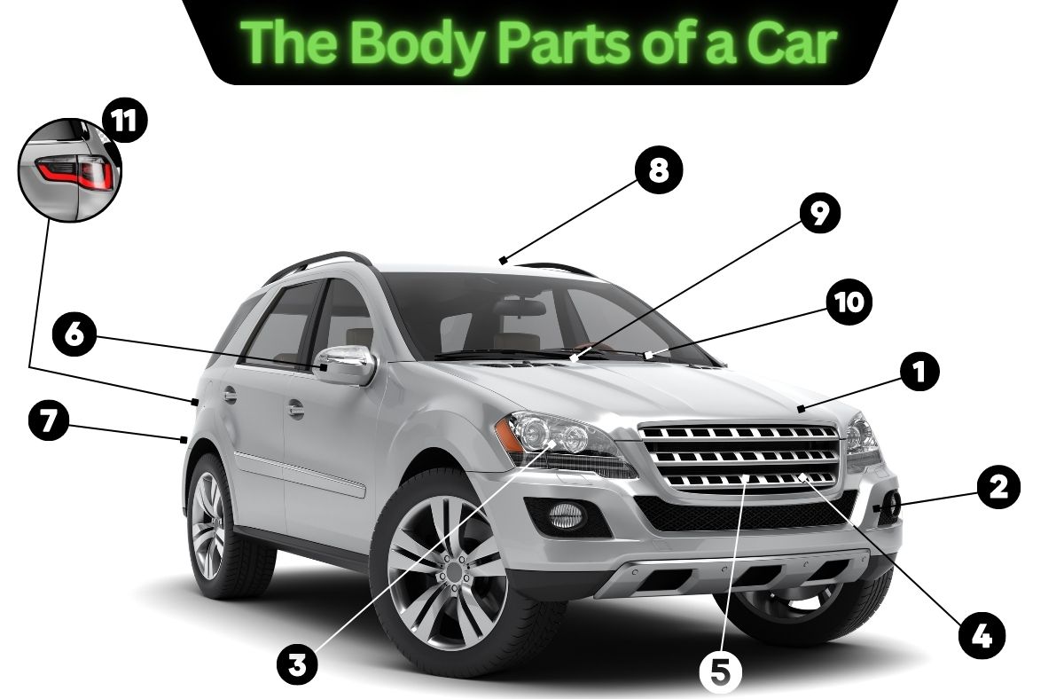 Graphic showing the different body parts of a car